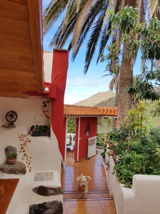 Apartamento Hyggeland II - Oase Der Ruhe Im Palmendorf Tazo Vallehermoso Exterior foto